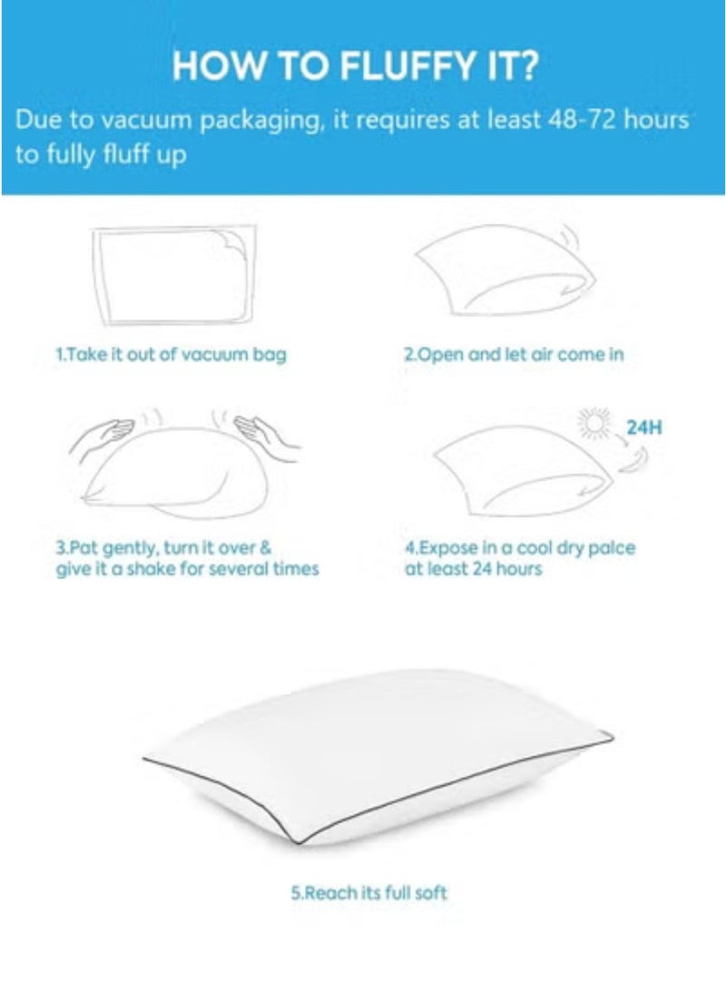 Blueberry Black Edge Pillow - Single Piping Pillow 50x70cm Made in UAE - Image 4