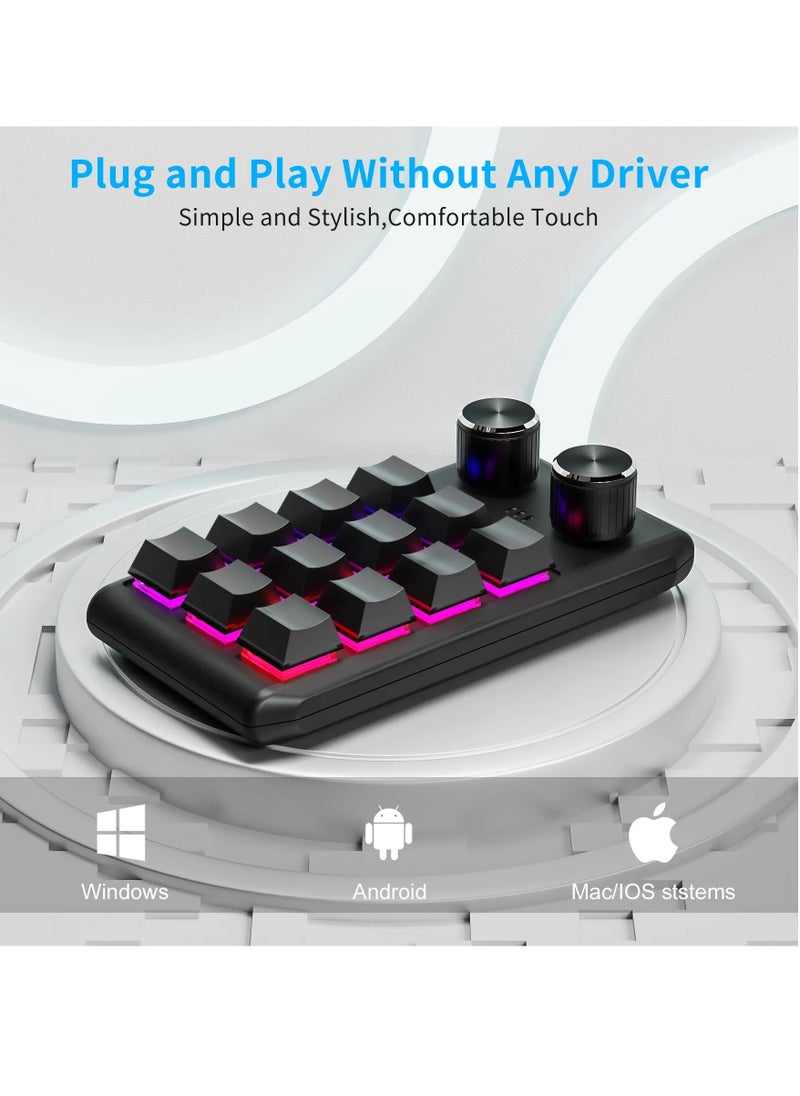 Programming Macro Custom 2 Knob Bluetooth Keyboard RGB 12 Key Copy Paste Mini on Gaming Keypad Mechanical Hotswap Macropad