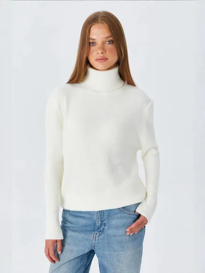MixRay Mixray Thick Ribbed Turtleneck Sweater