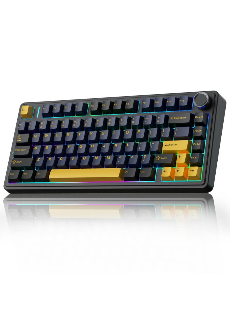 F75 Gasket Mechanical Keyboard, 75% Wireless Hot Swappable Gaming Keyboard with Five-Layer Padding&Knob, Bluetooth/2.4GHz/USB-C, RGB (Black, LEOBOG Reaper Switch)