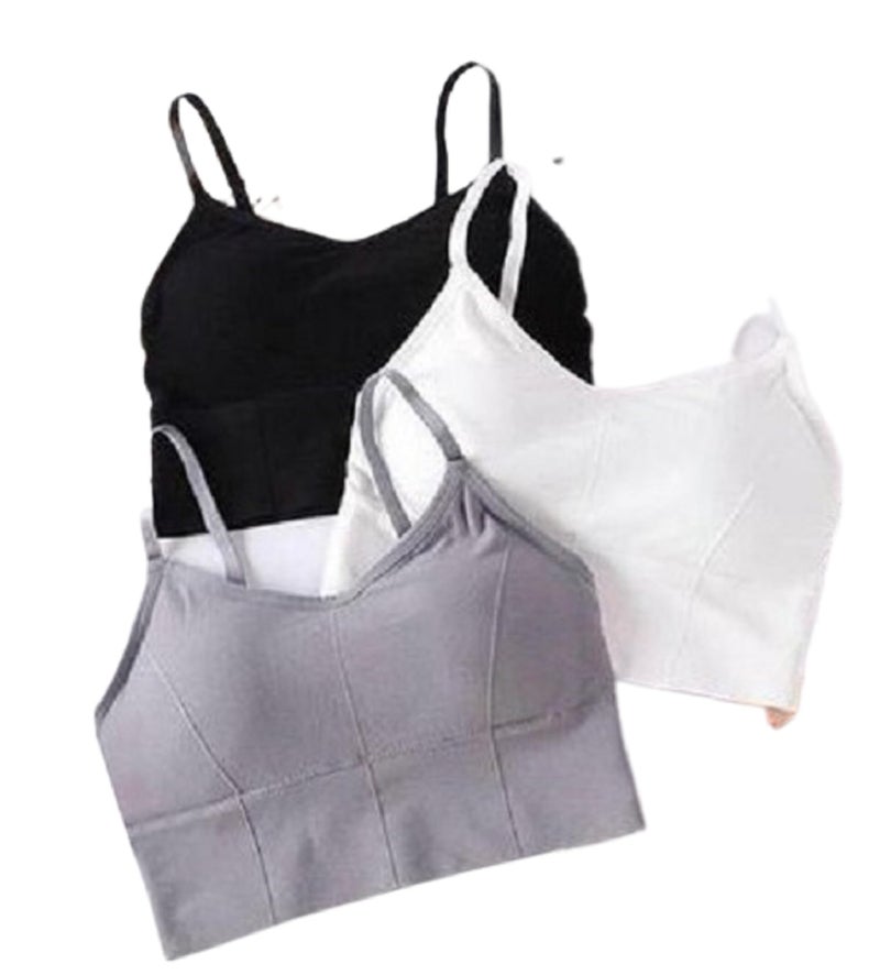 Mysha Women Cotton Padded Bra Combo Pack of 3 | Soft, Comfortable, and Breathable Fabric | Removable Pads, Adjustable Straps for Everyday Wear - Image 1
