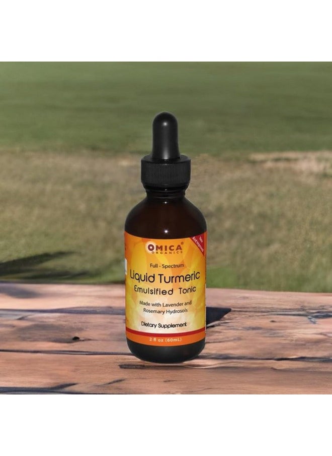 Liquid Turmeric Emulsified Tonic 2 Oz - pzsku/Z97F93501E2EE8FDBC3C8Z/45/_/1728309177/3a8fa2a2-18e7-4980-8aa2-ae3234136332