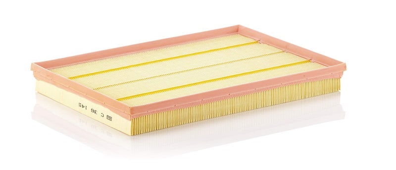 Mann Filter C 36 145 Air Filter - Image 1