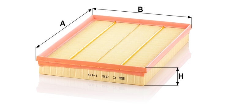 Mann Filter C 36 145 Air Filter - Image 2