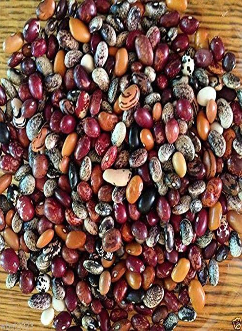 جي جوت بذور بوساك بوناي الأنديزية التراثية (ربع رطل) "النوم ثمانية" - Image 1