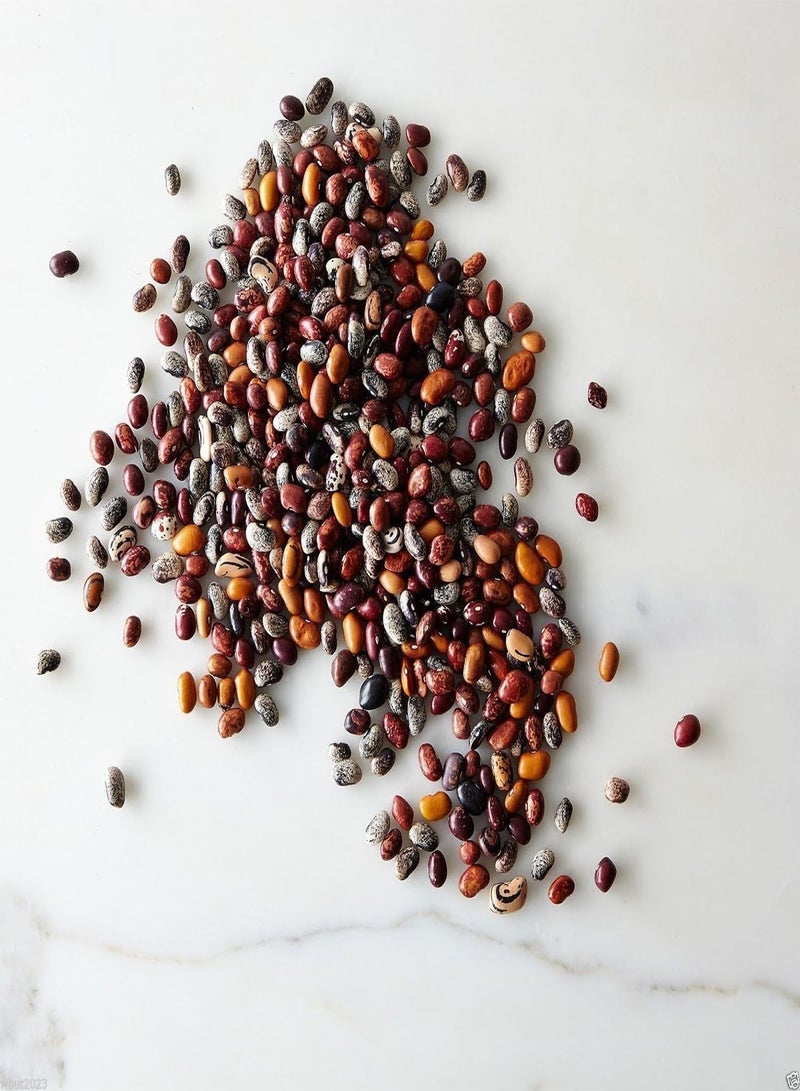 جي جوت بذور بوساك بوناي الأنديزية التراثية (ربع رطل) "النوم ثمانية" - Image 3