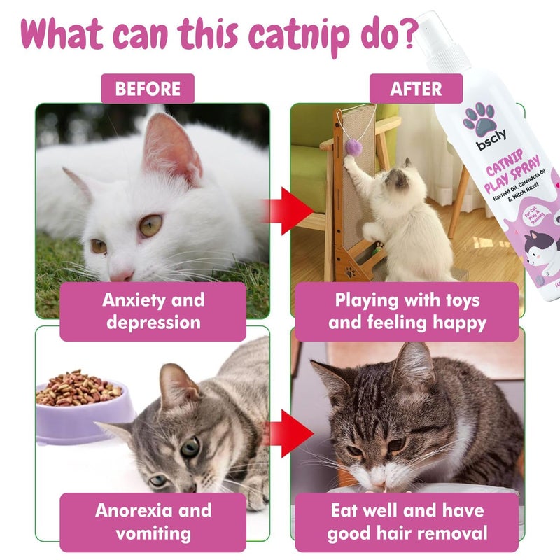 Harrods بخاخ اللعب بالنعناع للقطط - 100 مل - Image 4