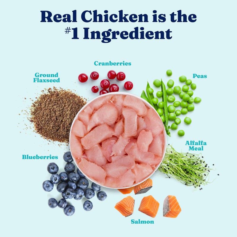 Solid Gold Sensitive Stomach Wet Dog Food for Adult & Senior Dogs - Grain Free Wet Dog Food w/Real Chicken, Salmon, Probiotics & Superfoods for Gut Health & Sensitive Stomach Support -6ct 12.5oz Cans - Image 3