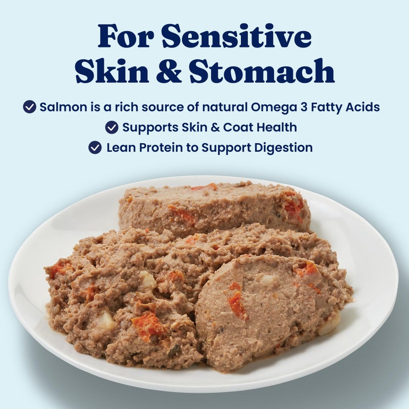 Solid Gold Sensitive Stomach Wet Dog Food for Adult & Senior Dogs - Grain Free Wet Dog Food w/Real Chicken, Salmon, Probiotics & Superfoods for Gut Health & Sensitive Stomach Support -6ct 12.5oz Cans - Image 2