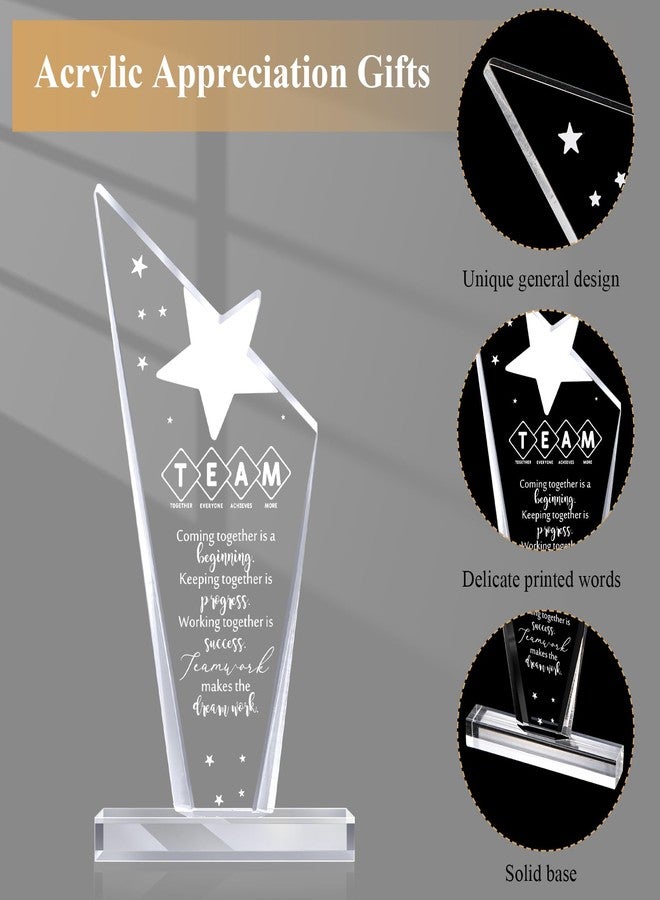 Maitys Thank You Gift Employee Inspirational Acrylic Sign Prizes Employee of The Month Favor Boss Day Appreciation Gifts Keepsake for Medical Assistant Vet Tech Week Nurse Women Team(Team) - Image 2