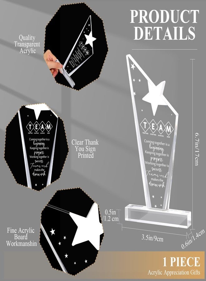 Maitys Thank You Gift Employee Inspirational Acrylic Sign Prizes Employee of The Month Favor Boss Day Appreciation Gifts Keepsake for Medical Assistant Vet Tech Week Nurse Women Team(Team) - Image 3