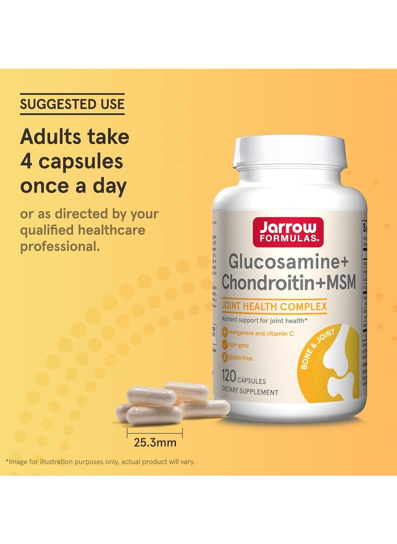 jarrow formulas - Glucosamine + Chondroitin + MSM - 120 Capsules - Image 1