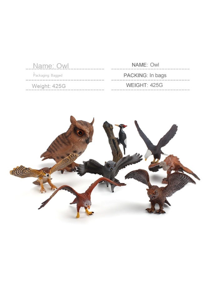 نيبمينينت نموذج الطيور البرية للأطفال للتعليم والتوعية عن الحياة البرية