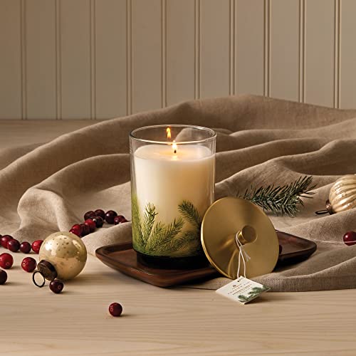 Thymes Frasier Fir Candle - Heritage Pine Needle Luminary Scented Candles - Elegant Pine Candle - Crisp Siberian Fir, Cedarwood & Sandalwood - Holiday Candles - Christmas Decor (Large, 16 oz) - Image 2