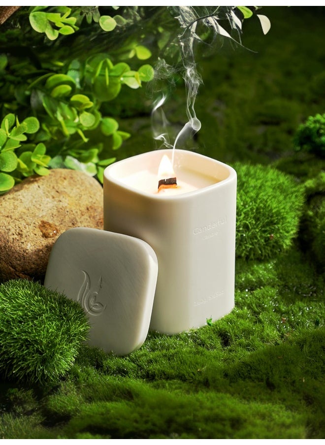 Absorbia - ABSORBIA White Peach Oolong Scented Candle - 6% Perfume Concentrates, 250g - Image 1