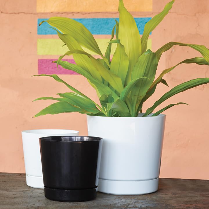 Root & Vessel Majestic Full Depth Cylinder Pot, Glossy White, 14-Inch (10142) - Image 2