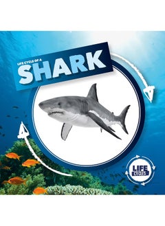 Life Cycle of a Shark