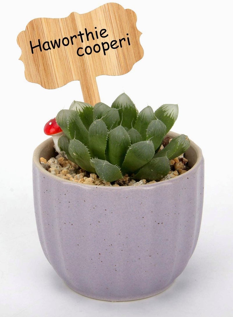 SYOSI Plant Tags, T- Type Wooden Plant Markers with Pen for Plants Nursery Seed Garden Greenhouse Supplies, Herbs Flowers Vegetables Potted (6.3x10cm) 60 PCS - Image 3