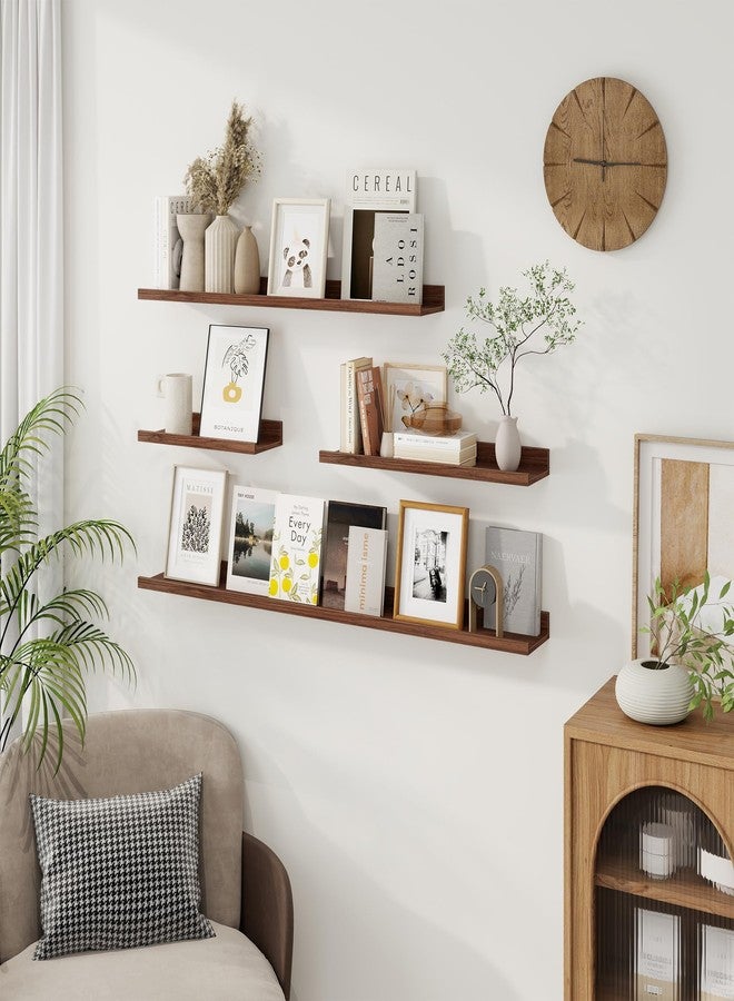 Axeman Picture Ledge Shelf | 16 Inch Walnut Floating Shelves Set of 3 | Rustic Wood Wall Shelves with Lip | 16" Walnut Picture Shelf for Wall with Ledge | Photo Shelves - Image 2