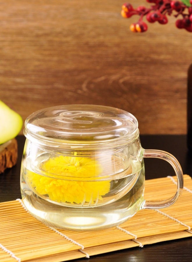 كأس الشاي الزجاجي مع رضع وليد، 12 كأس شاي زجاجي مع ستراينر، كوب شاي أوراق الشجر لواحد، أكواب شاي زجاجية بوروسيليكات خالية من الرصاص، مقاومة الحرارة، الميكروويف وغسالة الأطباق آمنة - Image 3