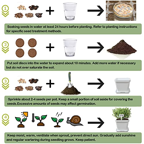 Meekear 10 Herb Seeds Garden Starter Grow Kit with White Pots, Markers, Nutritional Soil, Watering, Herb Clipper, Complete Indoor Potted Plant Growing Set for Kitchen DIY - Image 5