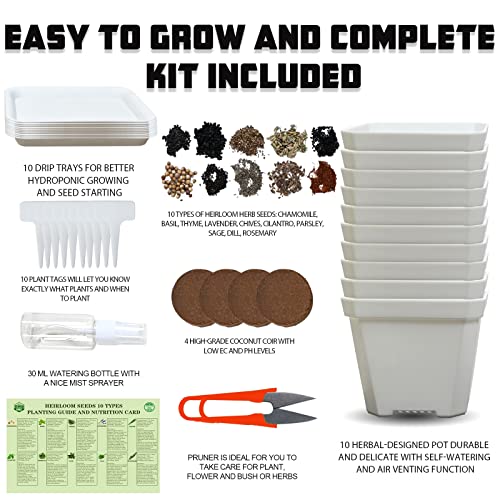Meekear 10 Herb Seeds Garden Starter Grow Kit with White Pots, Markers, Nutritional Soil, Watering, Herb Clipper, Complete Indoor Potted Plant Growing Set for Kitchen DIY - Image 2