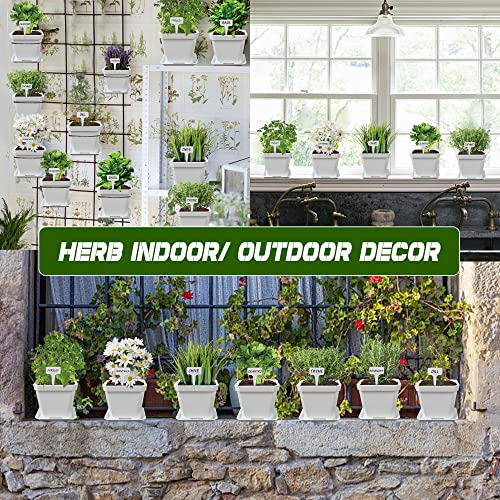 Meekear 10 Herb Seeds Garden Starter Grow Kit with White Pots, Markers, Nutritional Soil, Watering, Herb Clipper, Complete Indoor Potted Plant Growing Set for Kitchen DIY - Image 4