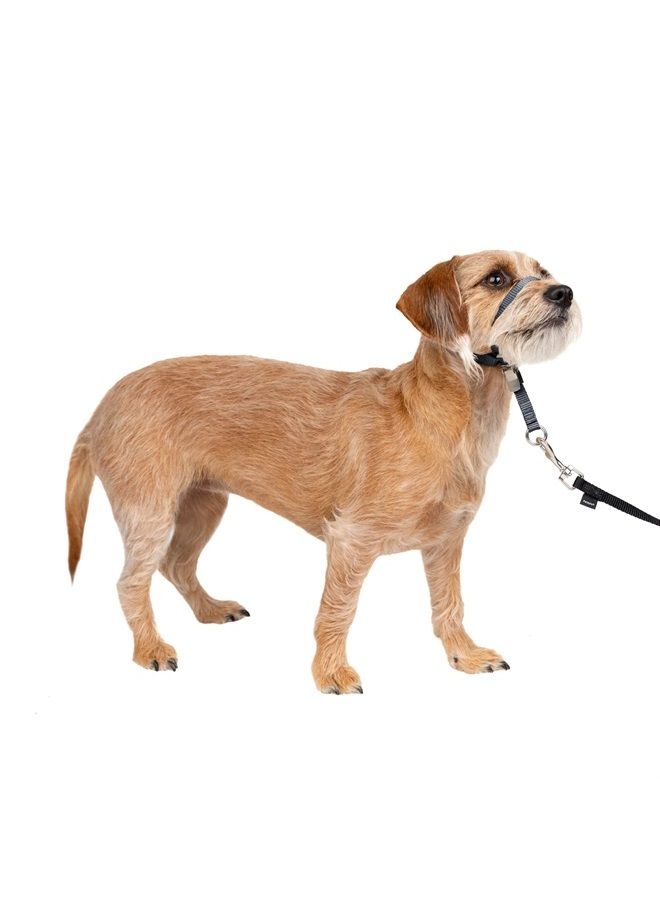 PetSafe Gentle Leader No-Pull Dog Headcollar - The Ultimate Solution to Pulling - Redirects Your Dog's Pulling for Easier Walks - Helps You Regain Control - Small, Charcoal - Image 1