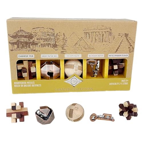 Project Genius Curated Collection Gift Set, 5 Premium Wood & Metal Puzzles, 3D Brainteaser Gift for Kids 8+, Teens, and Adults - True Genius Disassembly and Disentanglement Variety Pack - Image 1