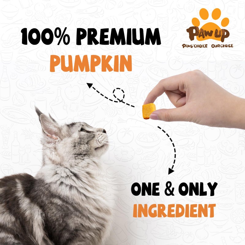 PAWUP Freeze-Dried Pumpkin Treats for Dogs & Cats â€“ High Fiber, Single Ingredient Natural Snacks for Digestion & Gut Health, Healthy Food Toppers, 1.58 oz - Image 2