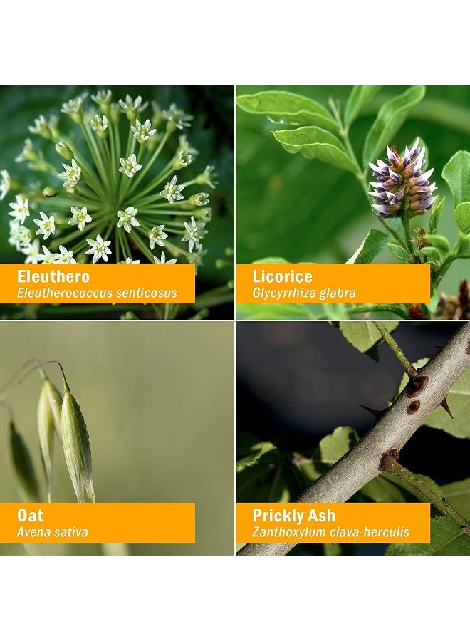 هيرب فارم مركب منشط لدعم الغدة الكظرية 1 فلوريدا. أوز - Image 5