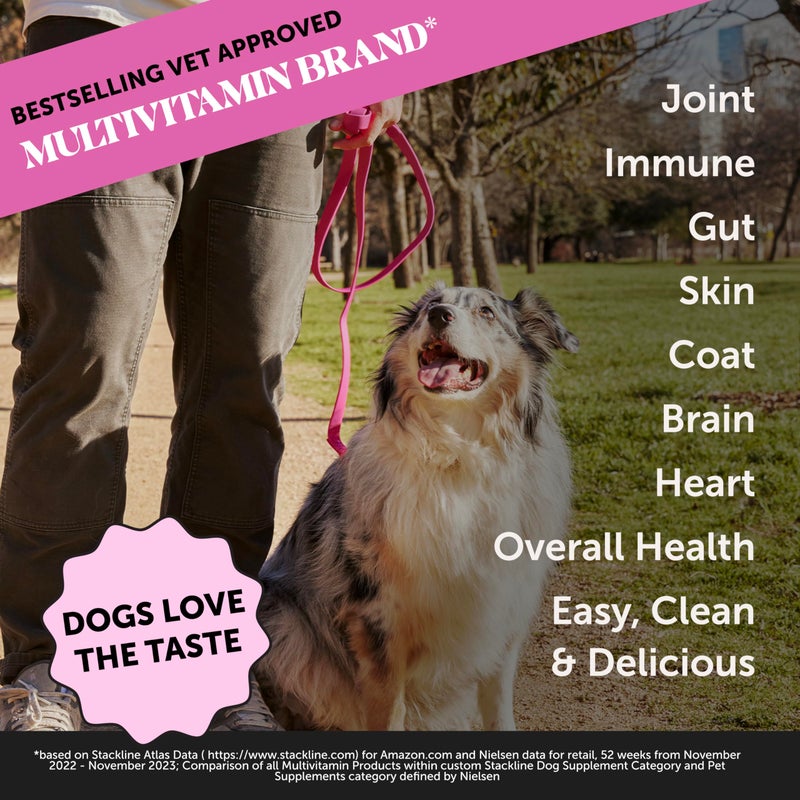 Pet Honesty Dog Multivitamin Supplement with Salmon Oil for Dogs - Allergy Itch Relief, Digestion, Skin & Coat Health, Liquid Supplement - Dog Food Topper Bone Broth with Prebiotics (12 oz) - Image 2