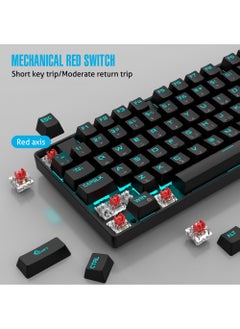 Rock Pow 75% Gaming Keyboard Arabic English 87 Keys Mechanical Keyboard with RGB Backlit 19 Modes Wired Mini Keyboard PBT Keycaps for PC Gaming and Working (Red Switch)  - Image 2