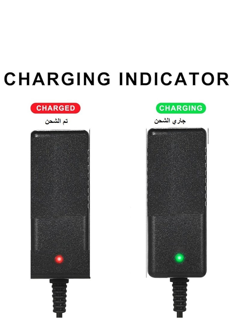 شاحن 6 فولت 1000 امبير  - Image 4