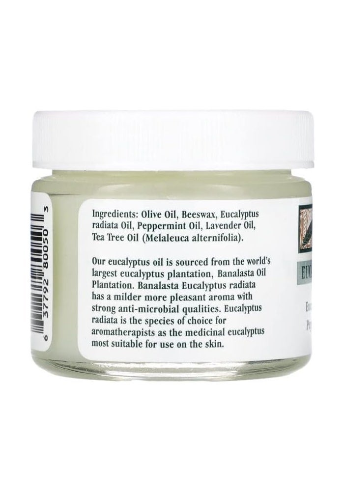 Tea Tree Therapy Eucalyptus Chest Rub with Lavender, Peppermint, and Tea Tree Oil - 2 Oz (2-Pack) - Image 2