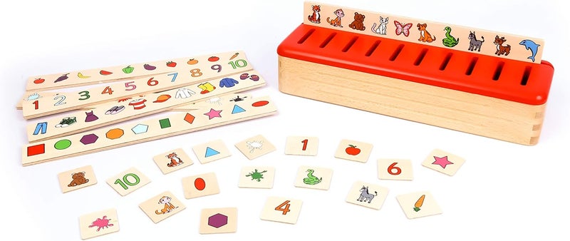 edu fun Classification Box 60-Pieces - Image 1