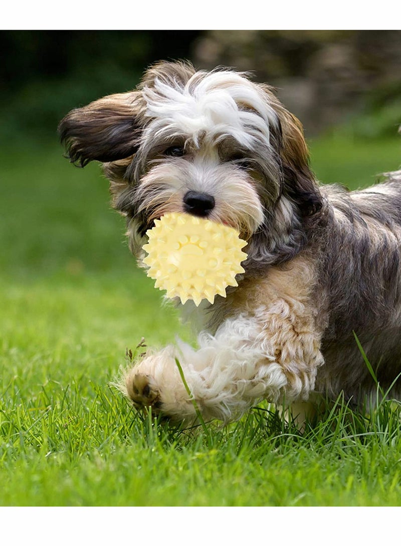 KASTWAVE Pet Balls Dog Spiky Ball Toys Pet Training Ball Bite Resistant Molar Toy Interactive Dog Toys IQ Treat Ball for Dog Puppy 3pcs - Image 2