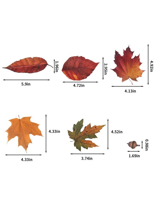 CCINEE CCINEE 216pcs Maple Window Clings 6 Sheets Fall Leaves Assorted Maple Oak Leaves Acorns Window Stickers for Autumn Thanksgiving Halloween Seasonal Holiday Glass Window Decorations  - Image 3
