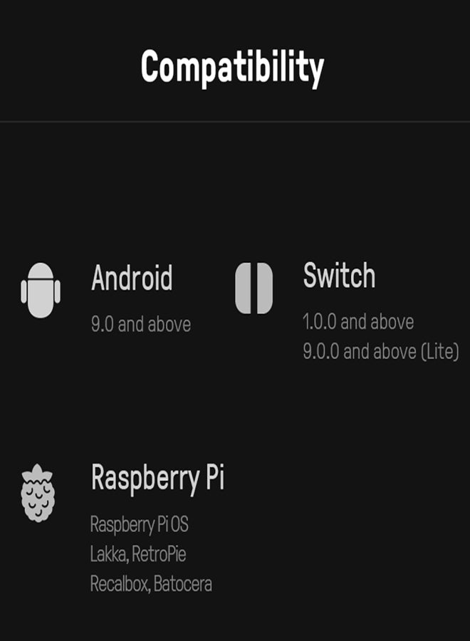 8بت دو وحدة تحكم ألعاب 8BitDo Lite 2 BT لأجهزة نينتندو سويتش، لايت، أندرويد، وراسبيري باي - فائقة الصغر وكاملة الميزات - Image 4