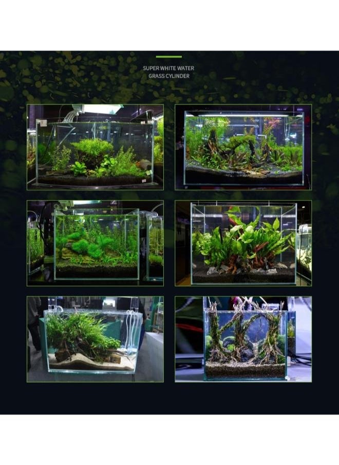 Generic - Ultra Clear Glass Fish Tank, Rimless Low Iron Aquarium - Image 1