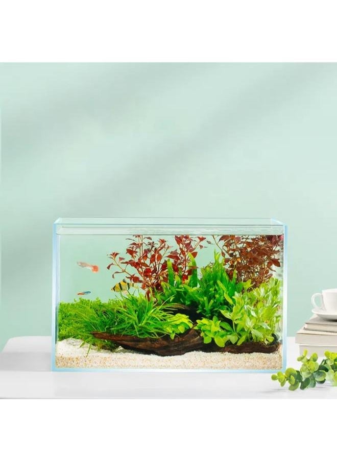 Generic - Ultra Clear Glass Fish Tank, Rimless Low Iron Aquarium - Image 1