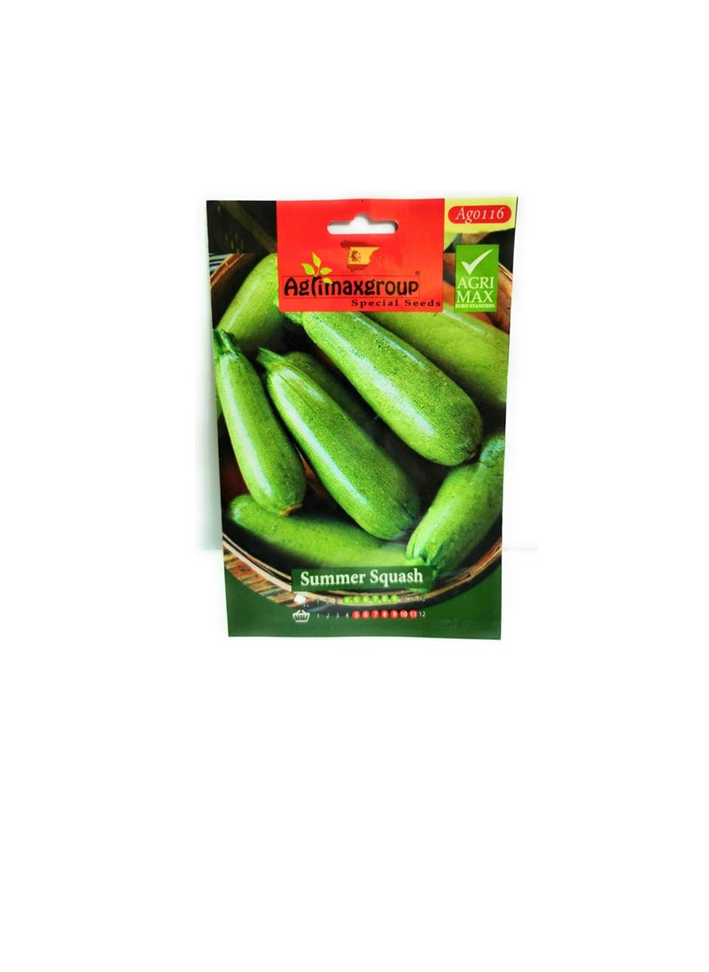 Agrimax - Agrimax Summer Squash Seeds - Image 1