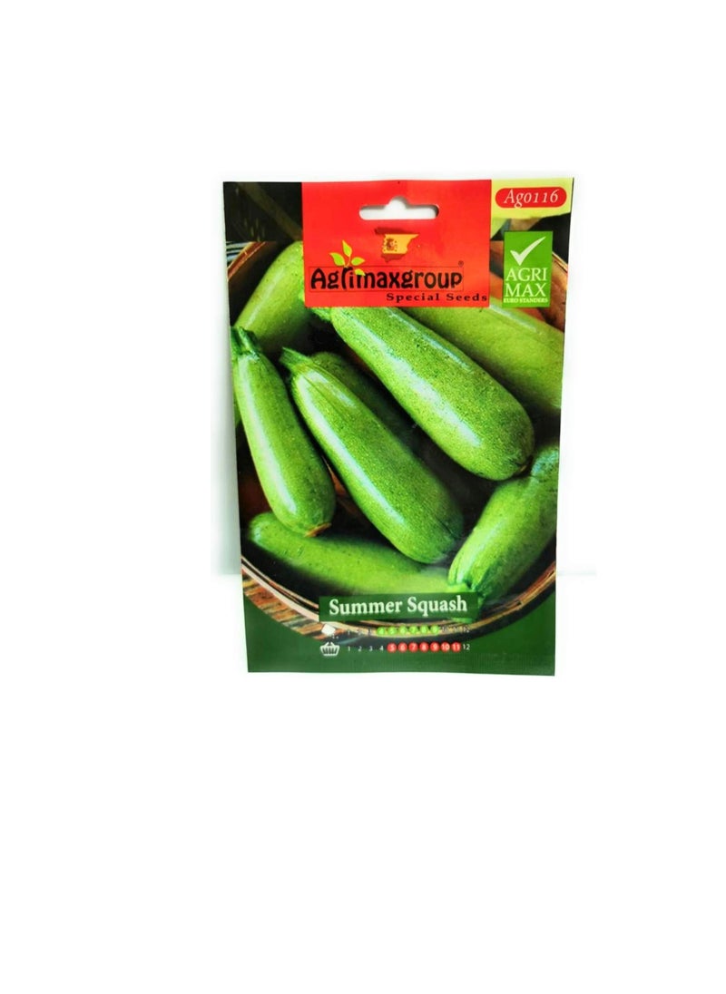Agrimax - Agrimax Summer Squash Seeds - Image 1