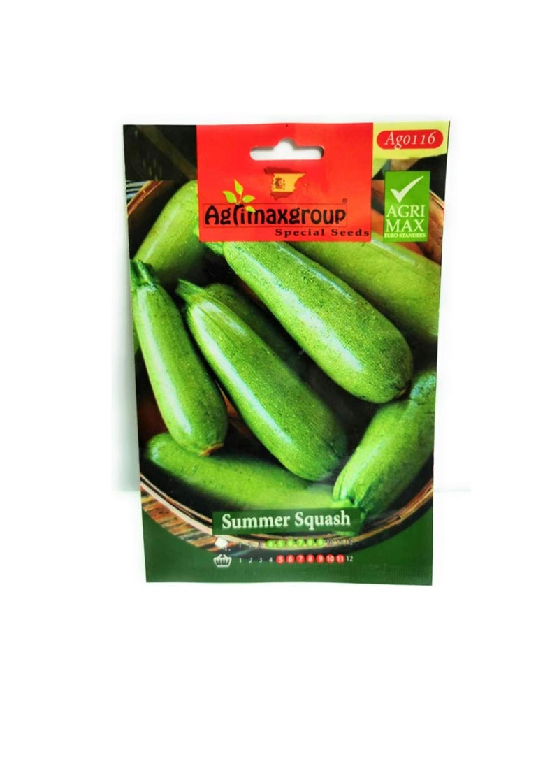 Agrimax - Agrimax Summer Squash Seeds - Image 1