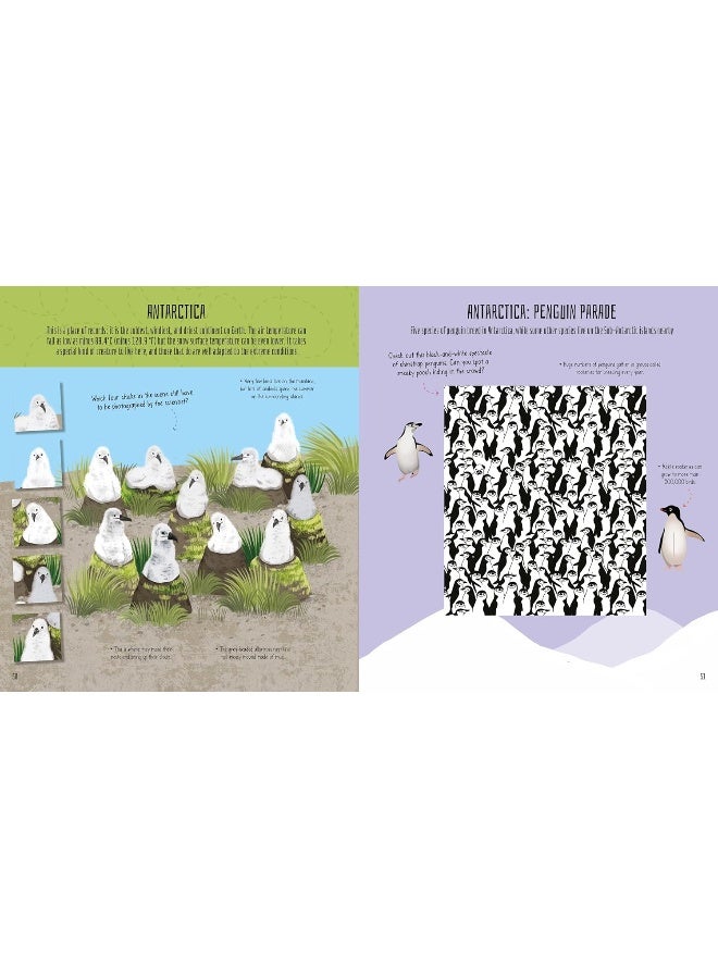 Birds of the World Activity Book: Take to the Skies with Puzzles, Mazes, and More! - Image 4