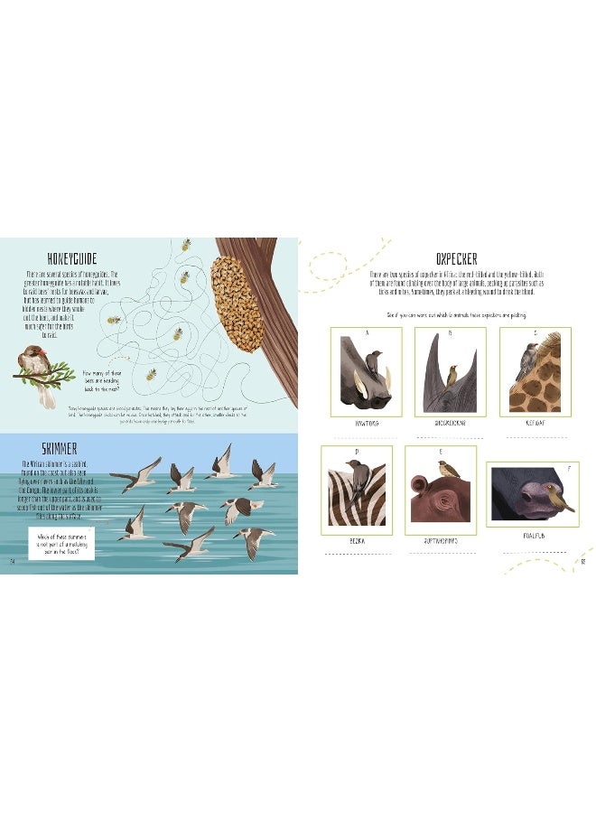 Birds of the World Activity Book: Take to the Skies with Puzzles, Mazes, and More! - Image 3
