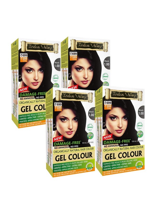 Indus Valley Damage Free Natural Gel Hair Colour For Women | Ammonia & Ppd Free Organic Hair Colour With 100% Grey Coverage, Long Lasting Conditioning Hair Color | Black 1.00 Pack Of 4 - Image 1