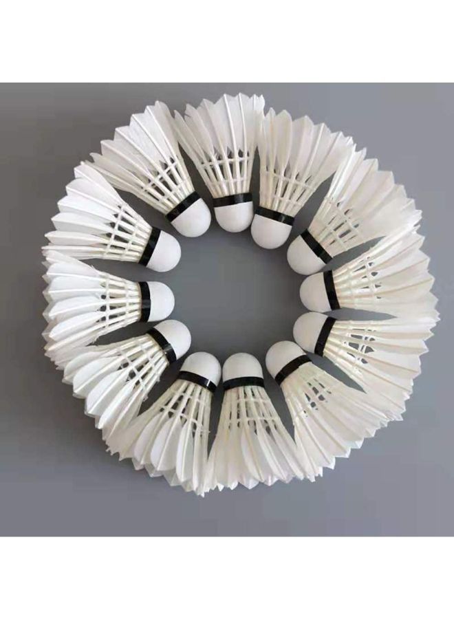Generic 12-Piece Premium Feather Shuttlecock Set - Image 1