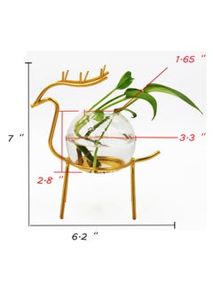 Generic Air Plant Terrarium with Metal Stand for Desktop - Glass Vase for Indoor Hydroponics, Ideal for Home Garden and Office Decor  - Image 5