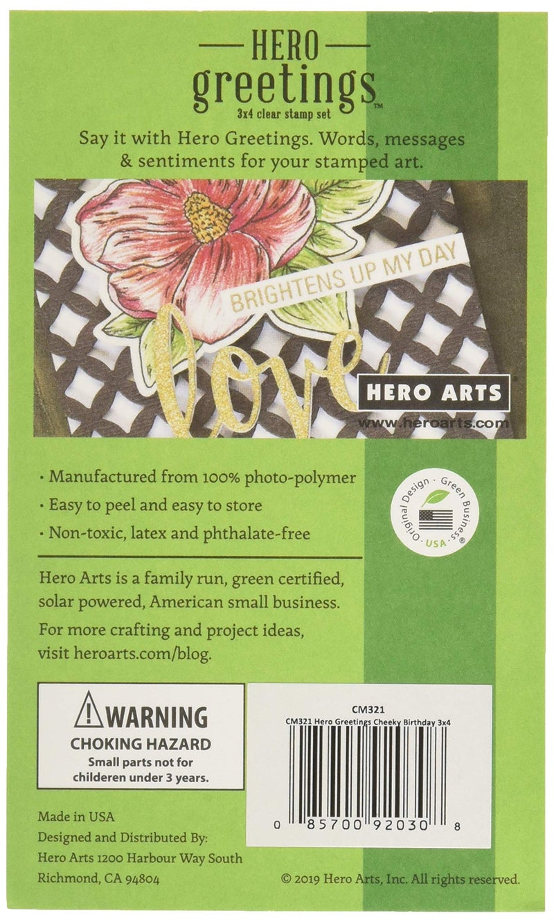 Hero Arts CM321 Clear Stamp Set, Hero Greetings Cheeky Birthday, 3" x 4" - Image 3